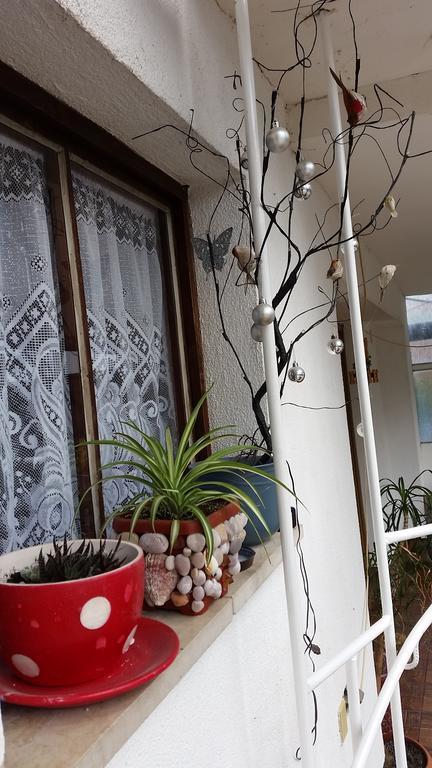 Apartments Aida Bihać Εξωτερικό φωτογραφία